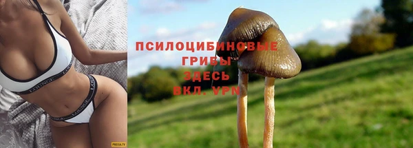 меф Гусиноозёрск
