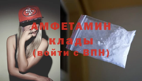 твердый Дмитров
