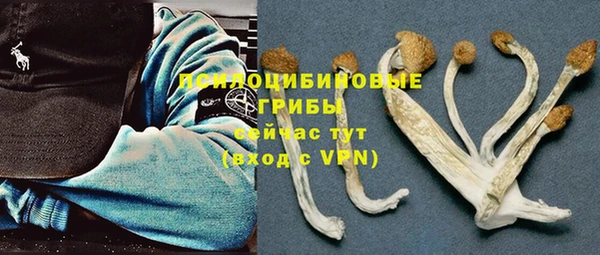 гидра Дмитровск