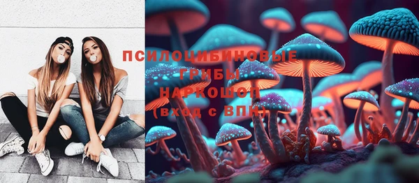 твердый Дмитров
