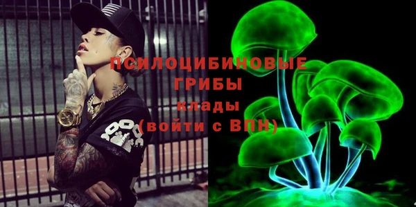 кристаллы Гусев